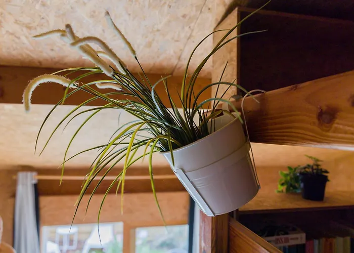 Alpstuga Les De Piqueyrot *